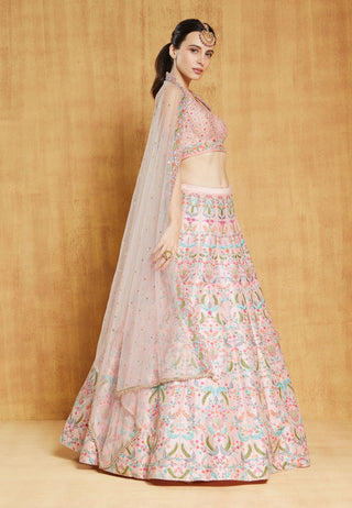 Chamee And Palak-Blush Pink Gulnar Lehenga Set-INDIASPOPUP.COM