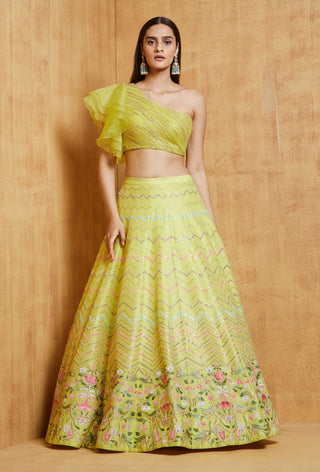 Chamee And Palak-Lime Green Noorjah Lehenga Set-INDIASPOPUP.COM