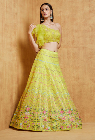 Chamee And Palak-Lime Green Noorjah Lehenga Set-INDIASPOPUP.COM