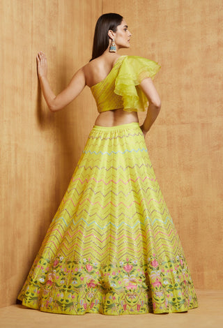 Chamee And Palak-Lime Green Noorjah Lehenga Set-INDIASPOPUP.COM