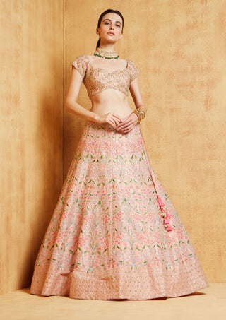 Chamee And Palak-Peach Iris Lehenga Set-INDIASPOPUP.COM