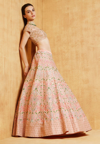 Chamee And Palak-Peach Iris Lehenga Set-INDIASPOPUP.COM