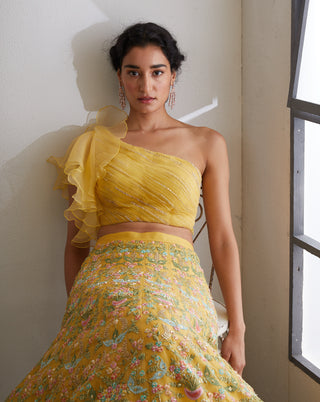 Chamee And Palak-Yellow Gulnar Lehenga Set-INDIASPOPUP.COM