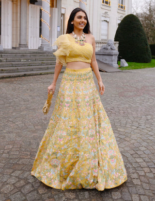 Chamee And Palak-Yellow Gulnar Lehenga Set-INDIASPOPUP.COM