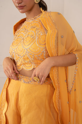 Mani Bhatia-Sunshine Yellow Sharara Set-INDIASPOPUP.COM