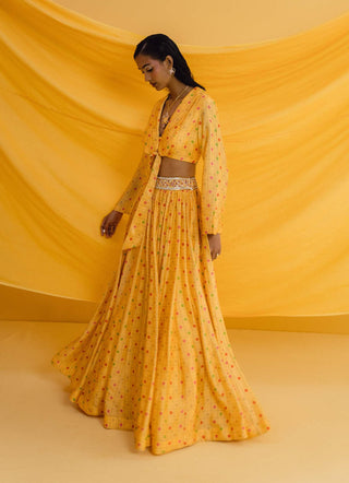 Drishti & Zahabia-Yellow Collared Crop Top And Skirt-INDIASPOPUP.COM