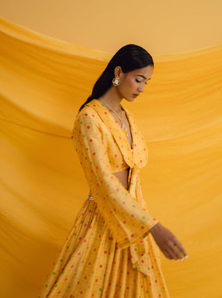 Drishti & Zahabia-Yellow Collared Crop Top And Skirt-INDIASPOPUP.COM