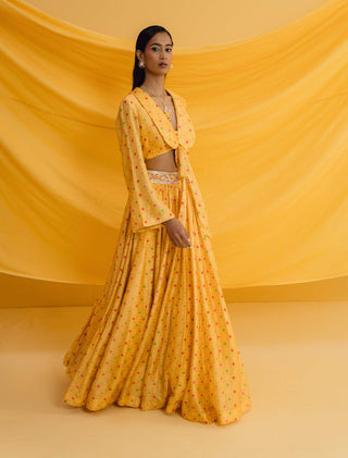 Drishti & Zahabia-Yellow Collared Crop Top And Skirt-INDIASPOPUP.COM