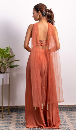 Silky Bindra-Pink Embroidered Bustier With Palazzo And Dupatta-INDIASPOPUP.COM