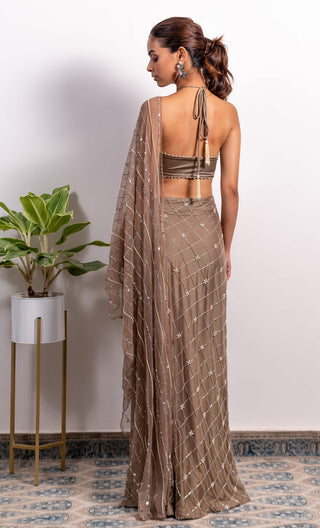 Silky Bindra-Brown High Slit Embroidered Saree With Blouse-INDIASPOPUP.COM