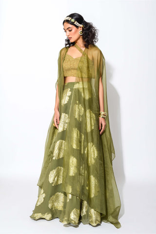 Rishi & Vibhuti-Olive Gold Circular Skirt With Blouse And Belt-INDIASPOPUP.COM