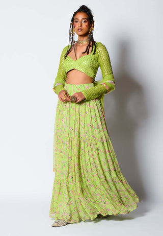 Rishi & Vibhuti-Lime Green Lady Love Lehenga Set-INDIASPOPUP.COM