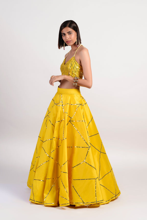 Rishi & Vibhuti-Ochre Embellished Lehenga Set-INDIASPOPUP.COM