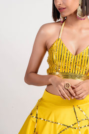 Rishi & Vibhuti-Ochre Embellished Lehenga Set-INDIASPOPUP.COM