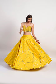Rishi & Vibhuti-Ochre Embellished Lehenga Set-INDIASPOPUP.COM