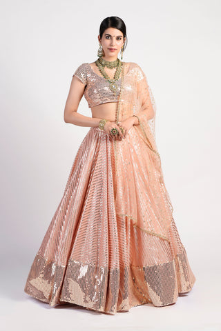 Rishi & Vibhuti-Sparkly Peach Lehenga-INDIASPOPUP.COM