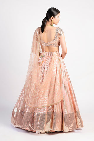 Rishi & Vibhuti-Sparkly Peach Lehenga-INDIASPOPUP.COM