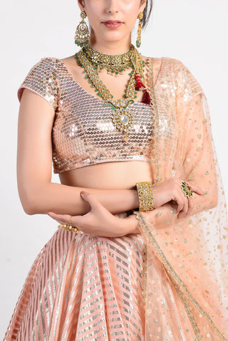 Rishi & Vibhuti-Sparkly Peach Lehenga-INDIASPOPUP.COM