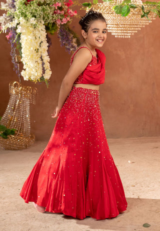 Littleens-Red Embroidered Lehenga With Blouse-INDIASPOPUP.COM