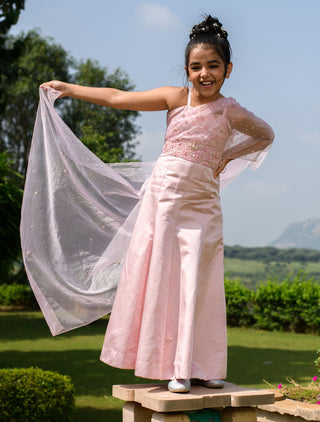 Littleens-Pink Embroidered Gown-INDIASPOPUP.COM