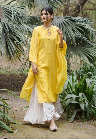 House Of Pink-Yellow Straight Chanderi Kurta Set-INDIASPOPUP.COM