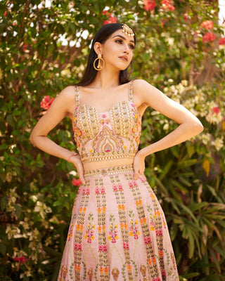 Aman Takyar-Onion Pink Embroidered Lehenga Set-INDIASPOPUP.COM