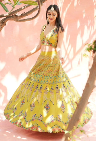 Aman Takyar-Lime Green Embroidered Lehenga Set-INDIASPOPUP.COM