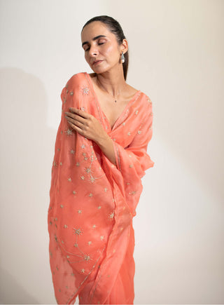 Kapardara-Coral Carina Silk Organza Sari-INDIASPOPUP.COM