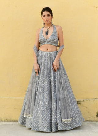 Chamee And Palak-Elena Grey Embroidered Lehenga Set-INDIASPOPUP.COM