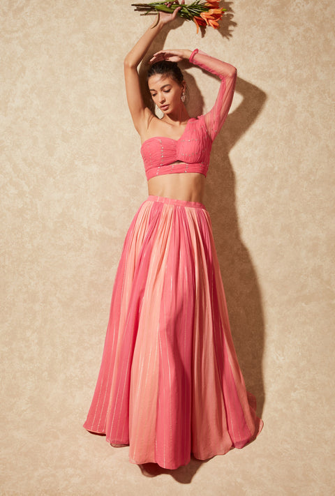 Chamee And Palak-Pink Hana Skirt With Blouse-INDIASPOPUP.COM