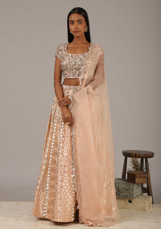 Nidhika Shekhar-Peach Embroidered Lehenga Set-INDIASPOPUP.COM