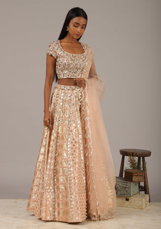 Nidhika Shekhar-Peach Embroidered Lehenga Set-INDIASPOPUP.COM