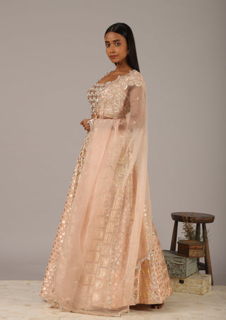 Nidhika Shekhar-Peach Embroidered Lehenga Set-INDIASPOPUP.COM