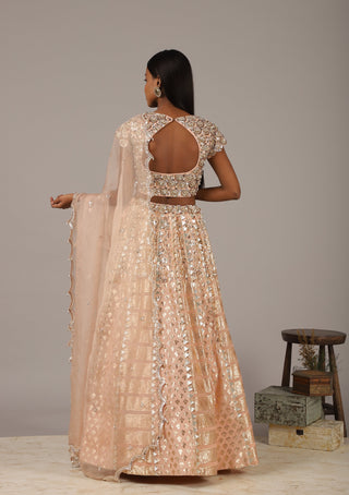 Nidhika Shekhar-Peach Embroidered Lehenga Set-INDIASPOPUP.COM