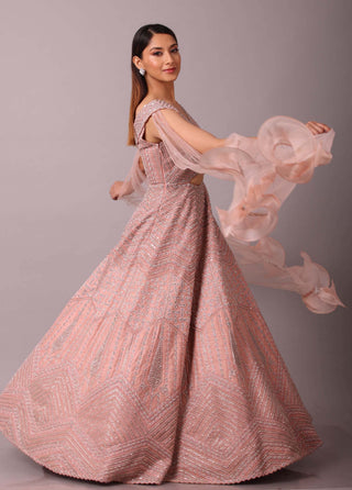 Disha Patil-Blush Pink Embellished Gown-INDIASPOPUP.COM