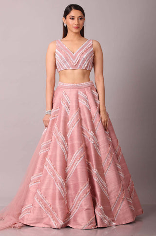 Disha Patil-Pink Embellished Lehenga Set-INDIASPOPUP.COM