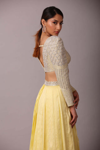 Disha Patil-Yellow Embellished Skirt With Blouse-INDIASPOPUP.COM
