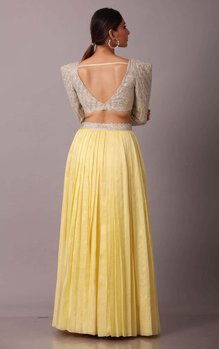 Disha Patil-Yellow Embellished Skirt With Blouse-INDIASPOPUP.COM