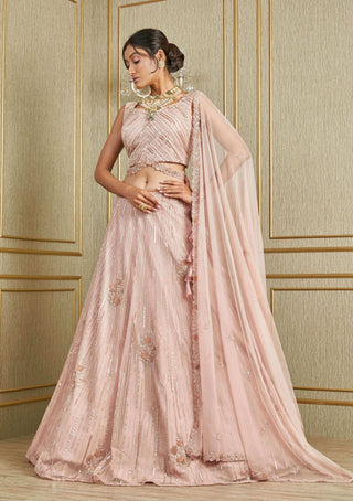 Charu & Vasundhara-Blush Pink Lehenga Set-INDIASPOPUP.COM