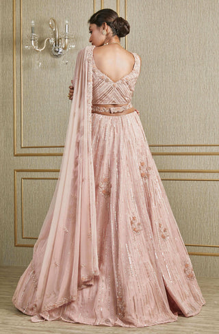 Charu & Vasundhara-Blush Pink Lehenga Set-INDIASPOPUP.COM