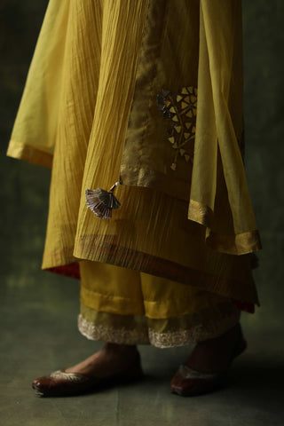 Begum Pret-Mustard Bahaar A-Line Cut Kurta Set-INDIASPOPUP.COM