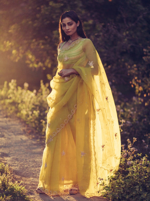 Madsam Tinzin-Olive Green Saree With Blouse-INDIASPOPUP.COM