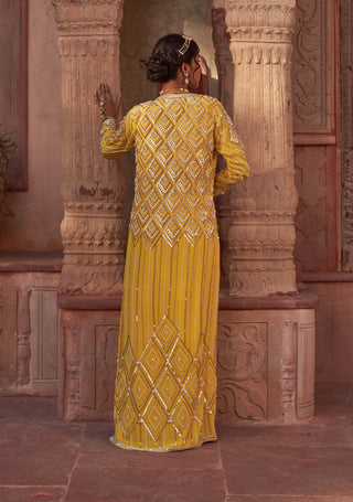 Nidhika Shekhar-Yellow Draped Foil Sari And Cape Set-INDIASPOPUP.COM