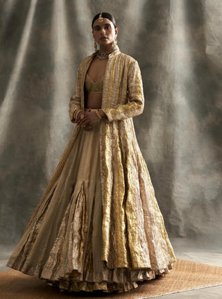 Gold Silver Jacket With Skirt and Blouse