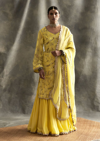 Yellow Embroidered Sharara Set