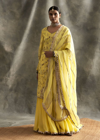 Yellow Embroidered Sharara Set