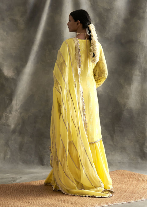 Yellow Embroidered Sharara Set
