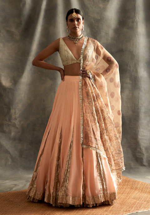 Blush Pink Chanderi Lehenga With Foil Resham Embroidery 1 | The Grand Trunk