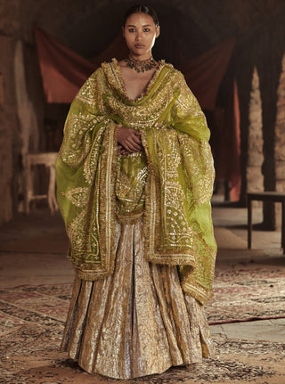 Itrh-Gold & Olive Green Aliya Sona Aanarkali Set-INDIASPOPUP.COM