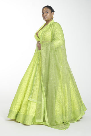 Itrh-Neon Green Crystal Crop Top With Lehenga With Dupatta-INDIASPOPUP.COM